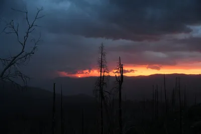 DSC_4577 (Large).JPG